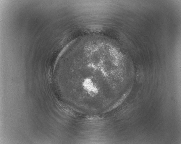 X0000056330866200509232010