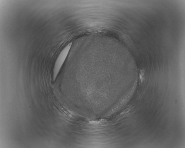 X0000056330867200509232010