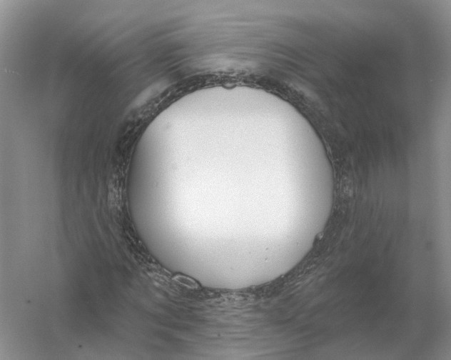 X0000056330869200509232010