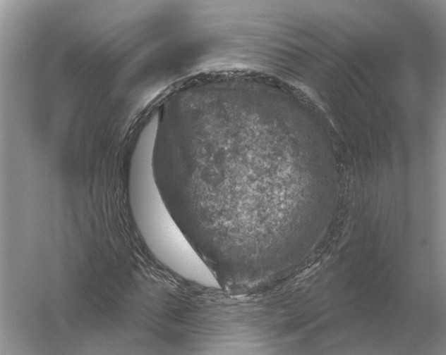 X0000056330871200509232010