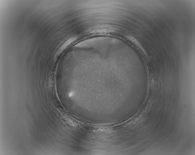 X0000056330874200509232010