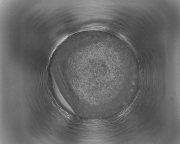 X0000056330875200509232010