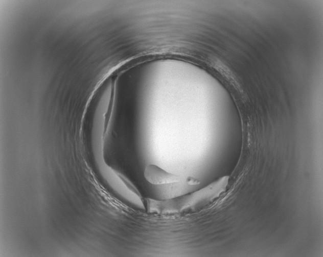 X0000056330876200509232010