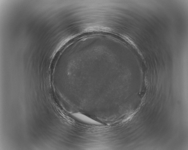 X0000056330877200509232010