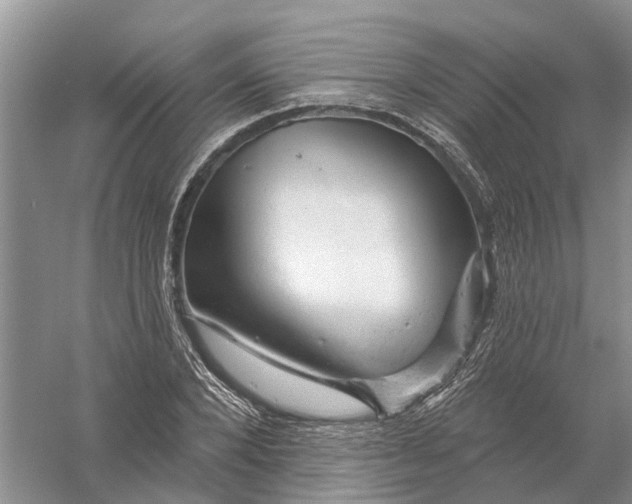 X0000056330880200509232010