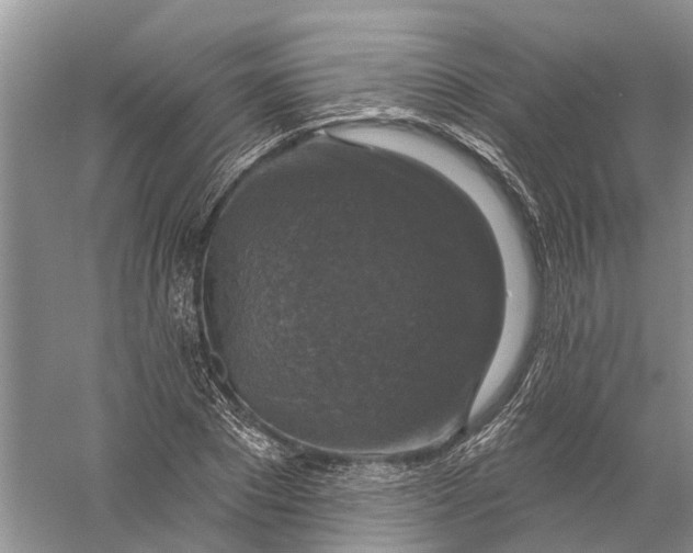 X0000056330881200509232010