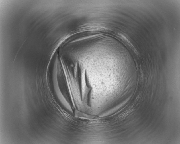 X0000056330883200509232010