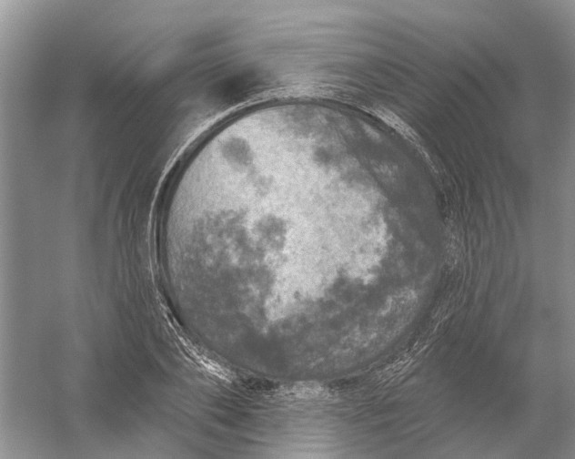 X0000056330886200509232010