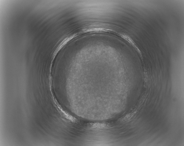 X0000056330890200509232010