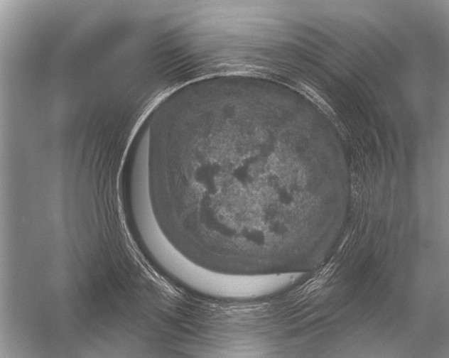 X0000056330891200509232010