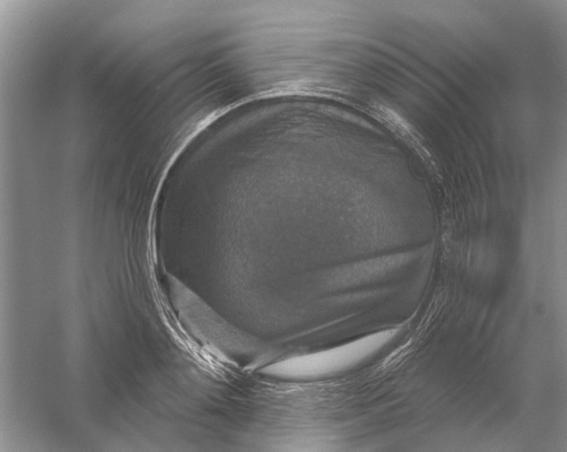 X0000056330892200509232010