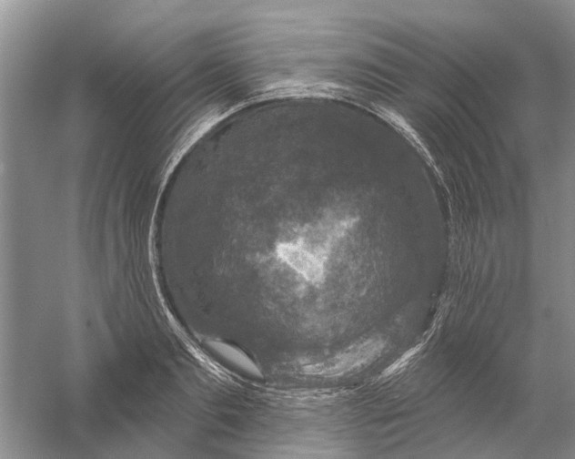 X0000056330893200509232010