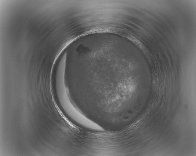 X0000056330894200509232010