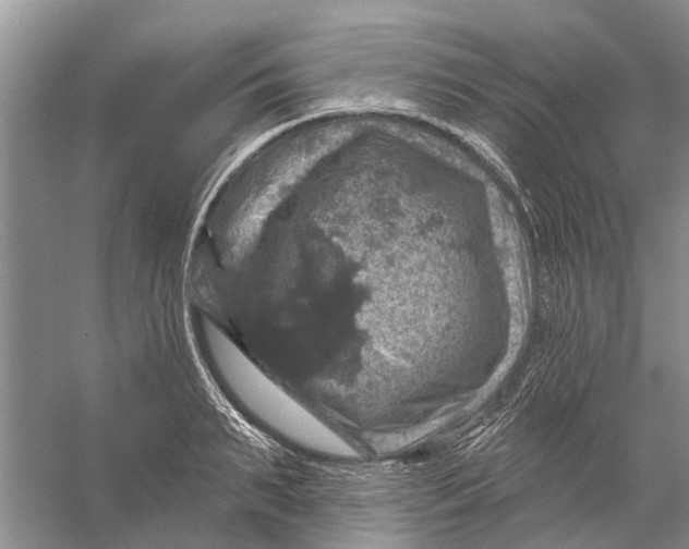 X0000056330895200509232010