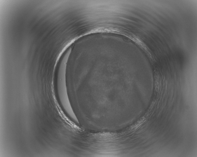 X0000056330896200509232010