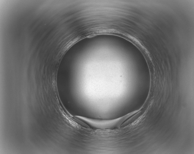 X0000056330897200509232010