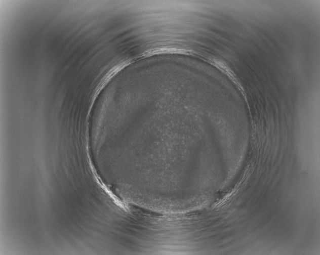 X0000056330898200509232010