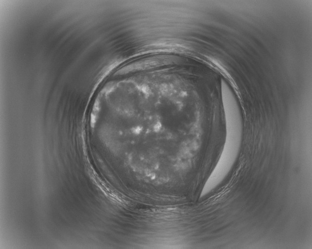 X0000056330899200509232010