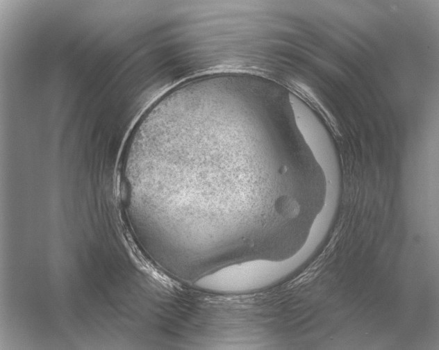 X0000056330900200509232010