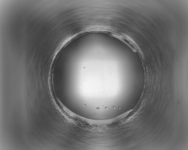 X0000056330901200509232009