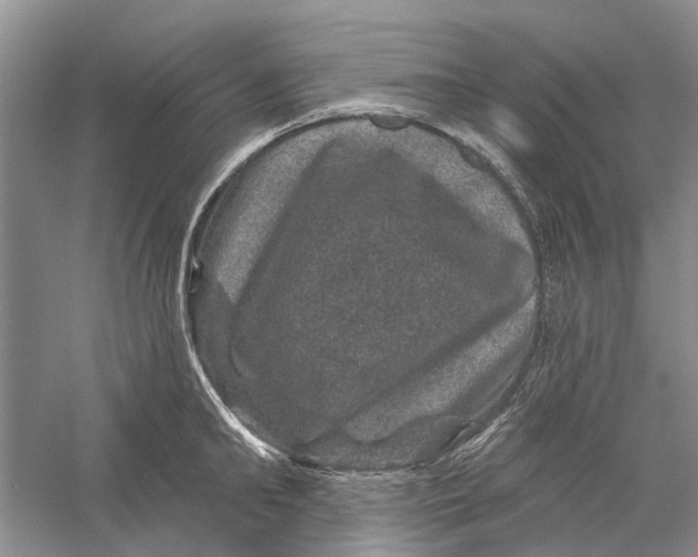 X0000056330902200509232009