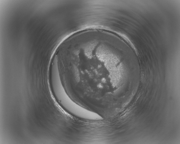 X0000056330903200509232009