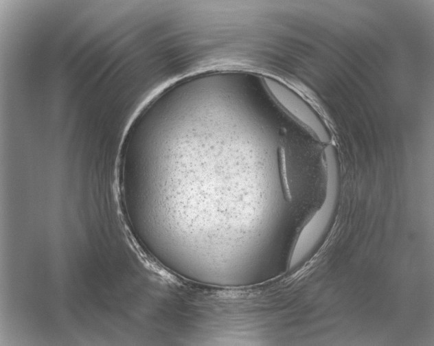 X0000056330904200509232009