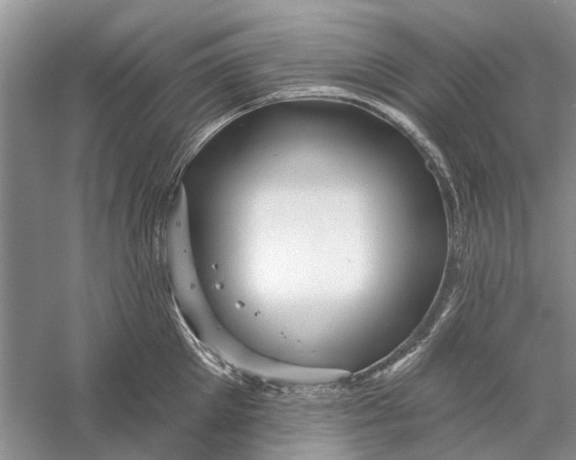 X0000056330905200509232009