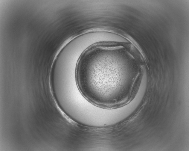 X0000056330909200509232009