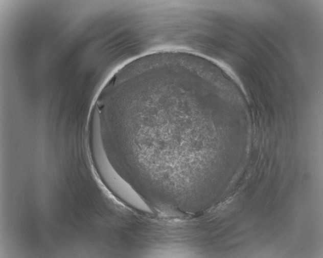 X0000056330911200509232009