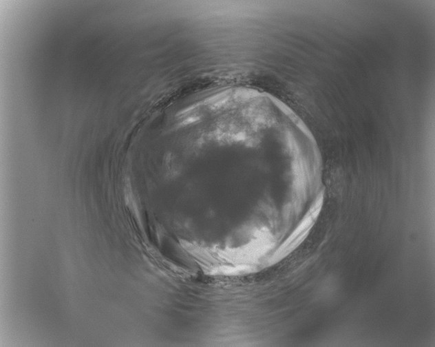 X0000056330913200509232008