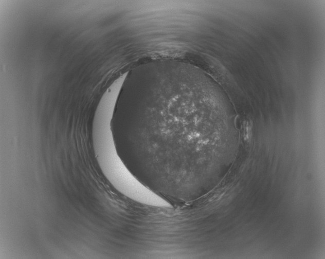 X0000056330915200509232009