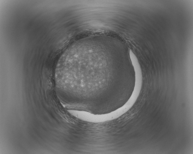 X0000056330916200509232009