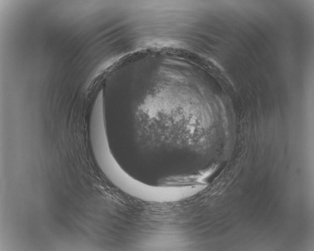 X0000056330919200509232009