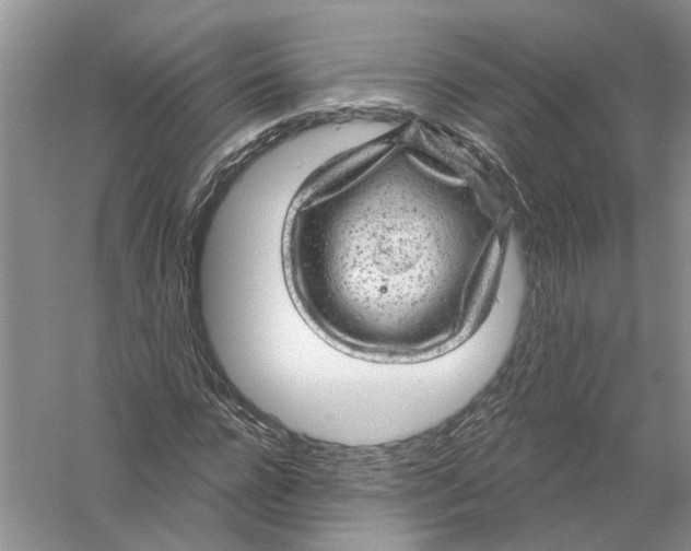 X0000056330920200509232009