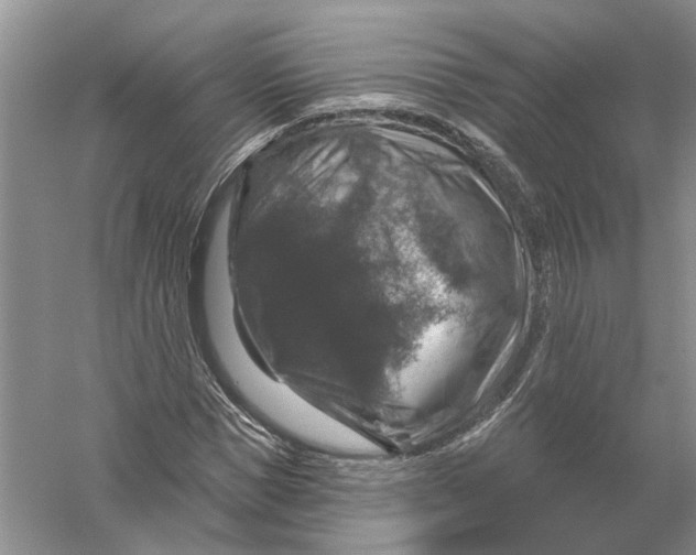 X0000056330921200509232009