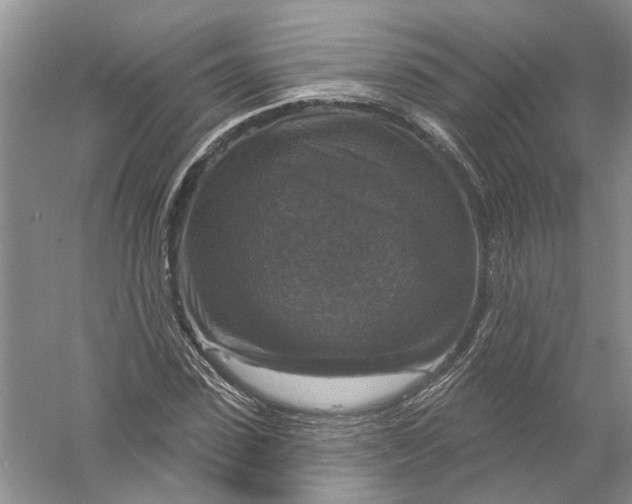 X0000056330923200509232009