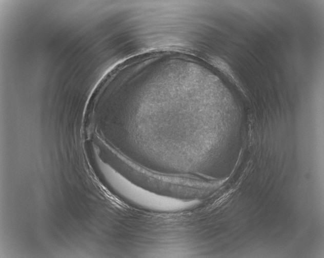 X0000056330924200509232009