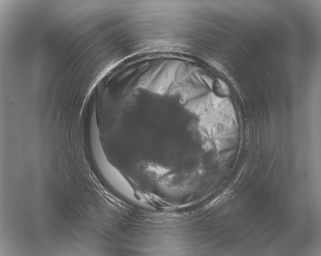 X0000056330925200509232009