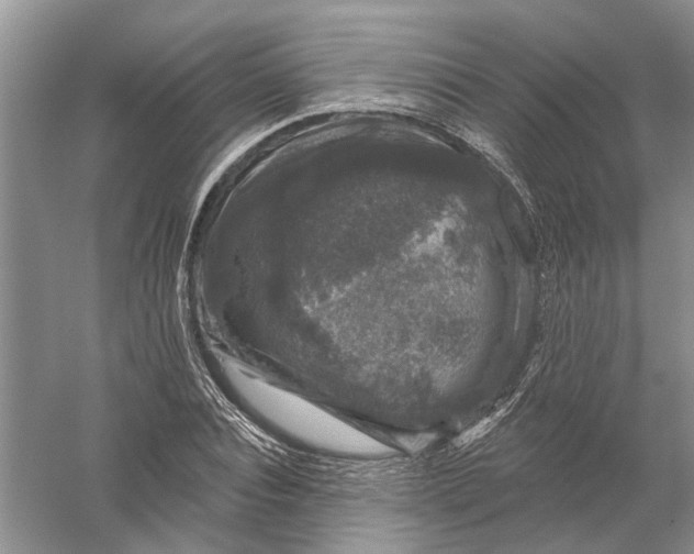 X0000056330928200509232009