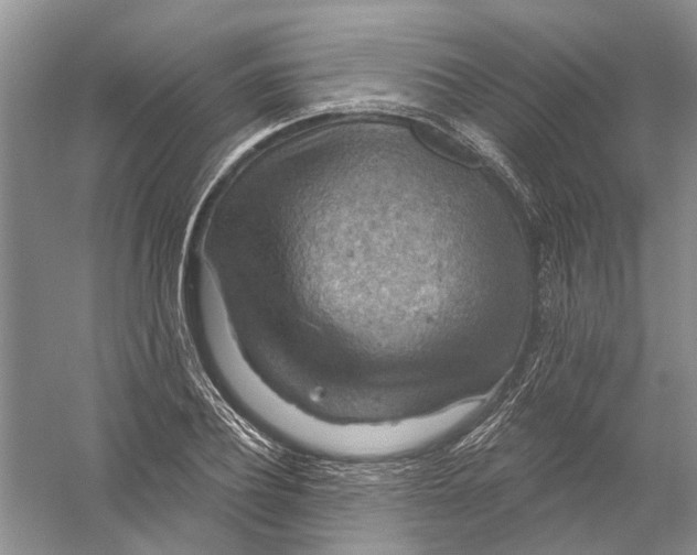 X0000056330932200509232009