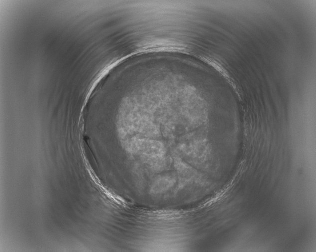 X0000056330933200509232009