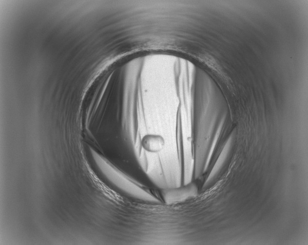 X0000056330934200509232009