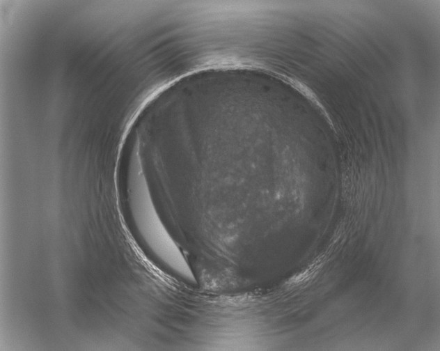 X0000056330935200509232009