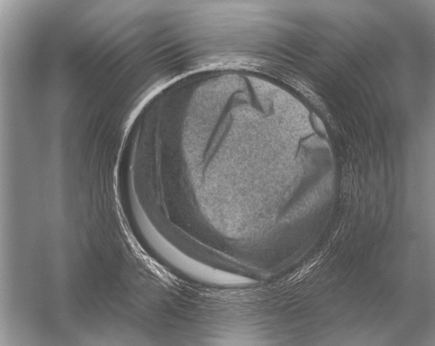 X0000056330936200509232009