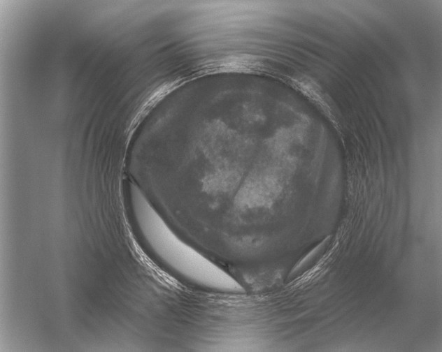 X0000056330938200509232009