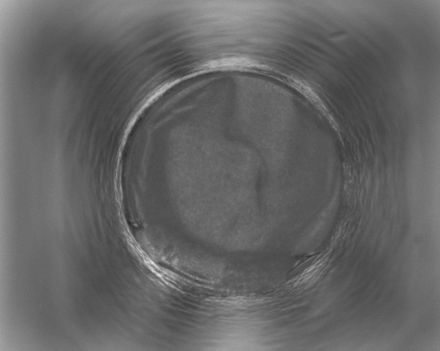 X0000056330939200509232009