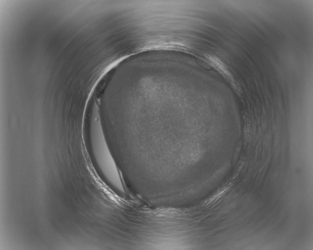 X0000056330940200509232009