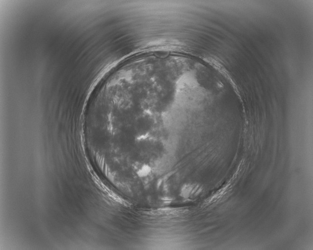 X0000056330941200509232009