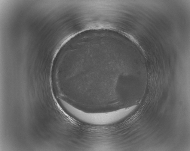 X0000056330943200509232009